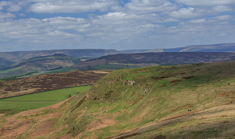 Callow Bank Callow Bank